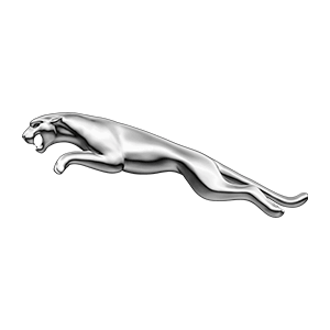 Jaguar segunda mano
