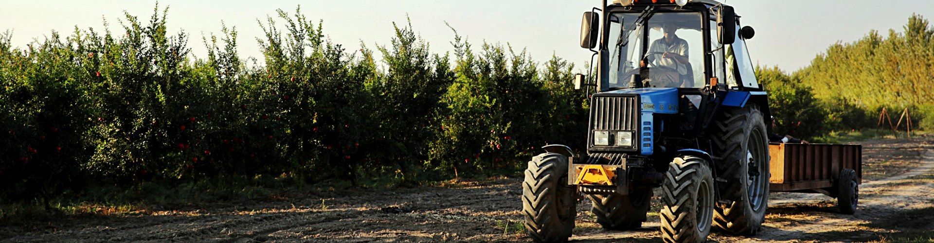 Características y precio de los tractores 4x4 pequeños