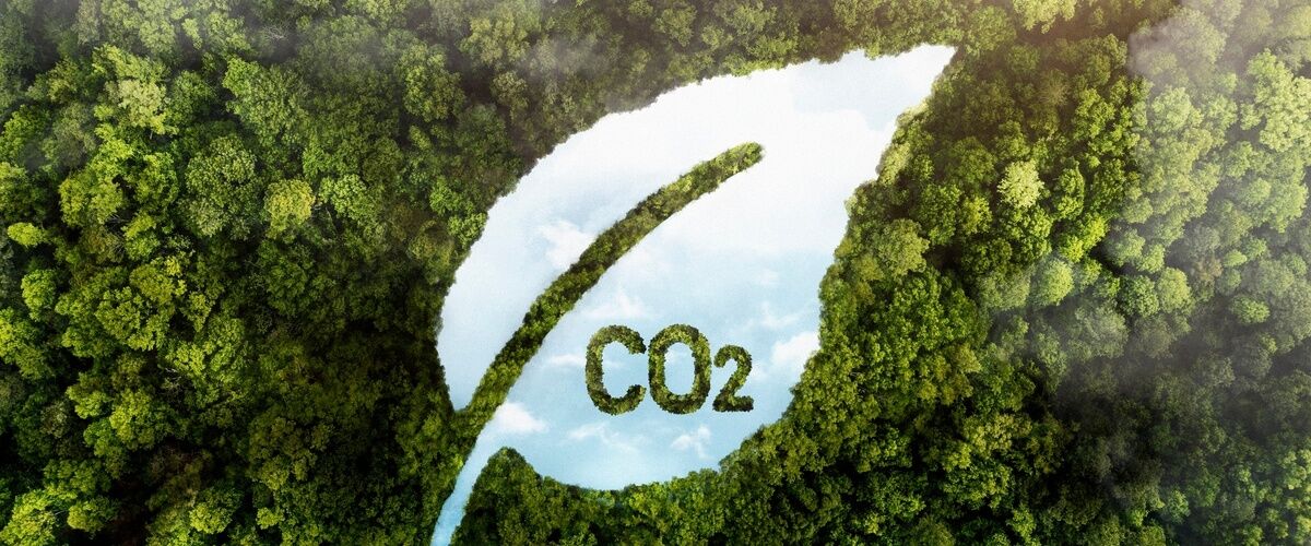 Emisiones de CO2 coche