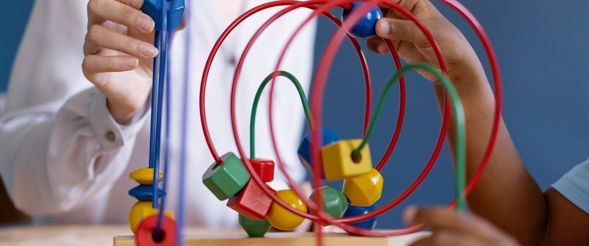 SRI – Sistema de Retención Infantil