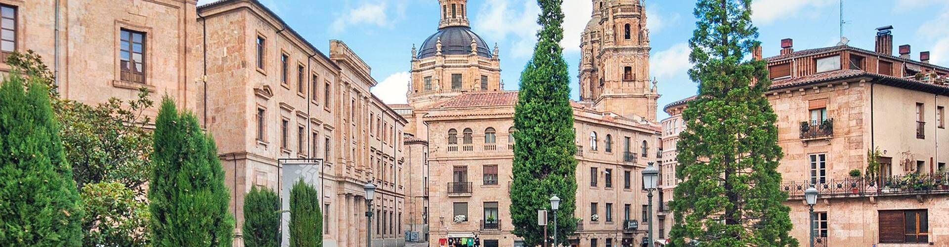 Mejor ruta de Madrid a Oporto en coche
