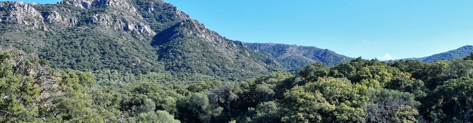 Ruta en coche por Los Alcornocales