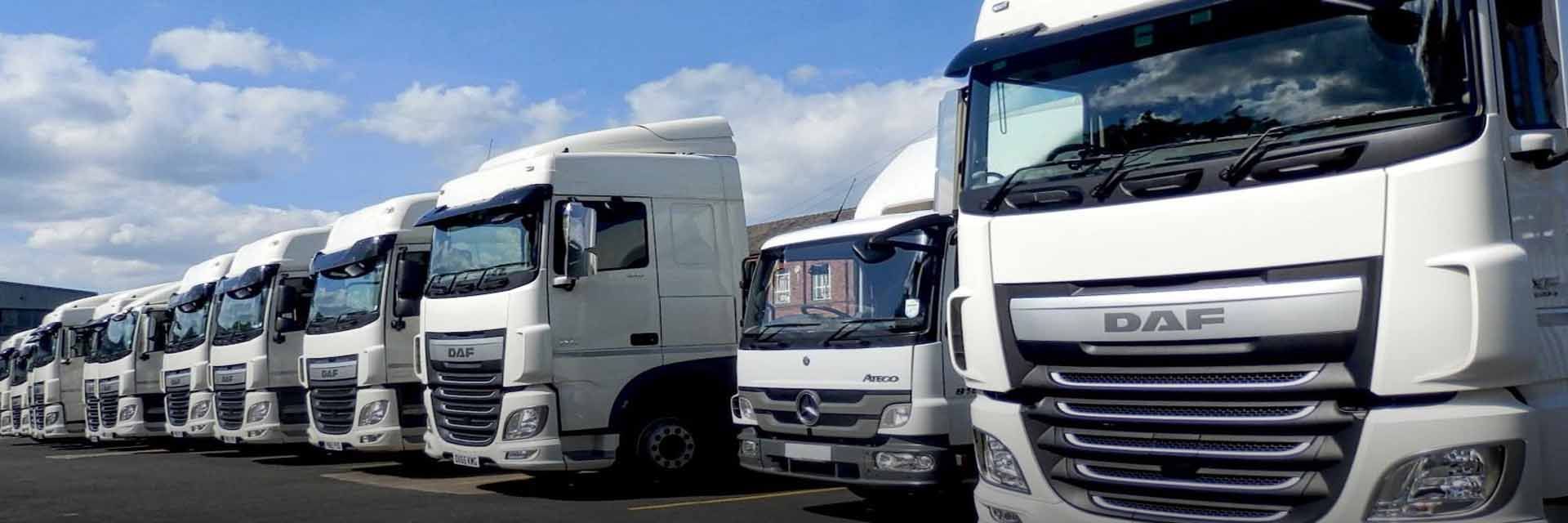 Localiza tu flota empresarial con este sistema de gestión de flotas