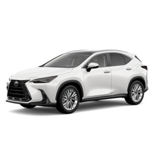 Lexus NX segunda mano