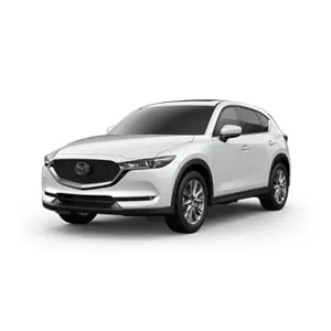 Leasing León