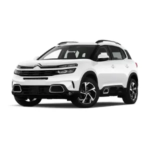 Citroën C5 segunda mano