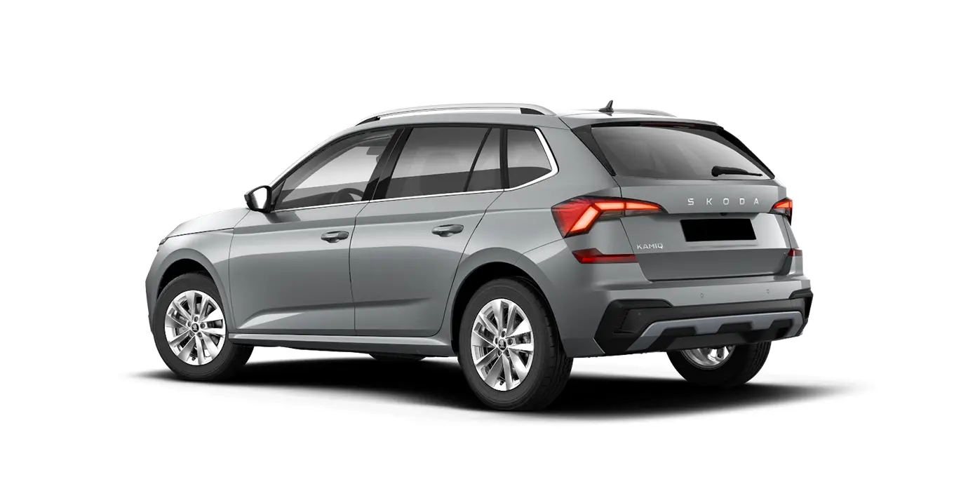 Plata - Imagen 2